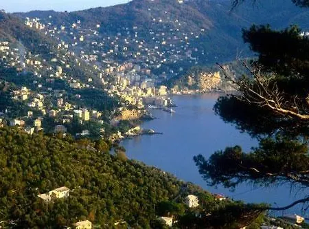 Affittacamere Mare E Terrazzo